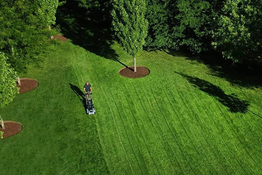 best cordless electric lawnmower